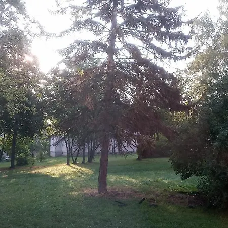 Green N.2 Slezska Ostrava
